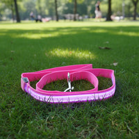 Laisse lumineuse rose