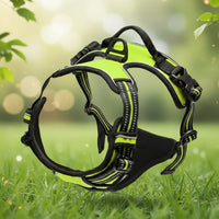 Harnais Anti-Traction Petit et Moyen Chien - Confort et Contrôle