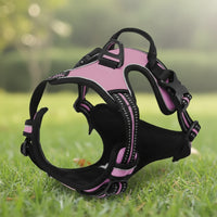 Harnais Anti-Traction Petit et Moyen Chien - Confort et Contrôle