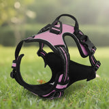 Harnais Anti-Traction Petit et Moyen Chien - Confort et Contrôle