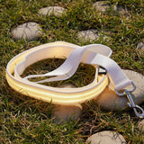 Laisse Lumineuse Rechargeable - Votre Chien Visible et Protégé la Nuit
