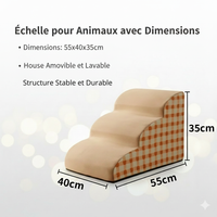 Rampe Antidérapante pour Chien Âgé - Sécurité & Autonomie Garanties