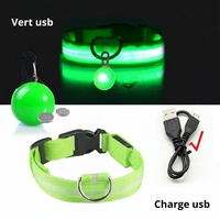 Collier LED pour Chien avec Pendentif Lumineux - Promenades de Nuit Sécurisées  (Rechargeable & Imperméable)
