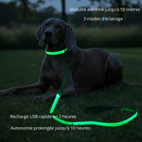 Laisse Lumineuse Rechargeable - Votre Chien Visible et Protégé la Nuit