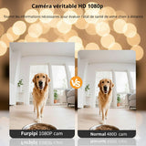Happy Animalia automatic pet feeder with HD camera, ideal for absent owners, 8L capacity, Wi-Fi enabled.