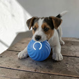 Happy Animalia blue interactive dog ball with power button light, made of durable, non-toxic material for mental stimulation.