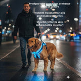 Happy Animalia blue LED dog harness for nighttime walks, adjustable and rechargeable.