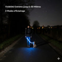 Happy Animalia blue LED rechargeable dog leash for nighttime visibility and safety.