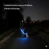 Happy Animalia blue LED rechargeable dog leash for nighttime visibility and safety.