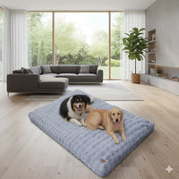Happy Animalia light blue plush dog bed with textured pattern. Orthopedic foam, washable cover.