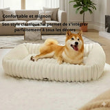 Happy Animalia orthopedic dog bed in cream, made of soft plush with memory foam for senior dogs with joint pain.
