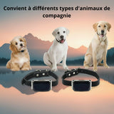 Happy Animalia black leather GPS tracker collar for dogs and cats, with real-time tracking and two-way communication.