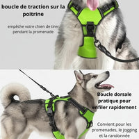 Happy Animalia bright green LED dog harness with adjustable straps and reflective trim for night walks. Features front and back leash clips.