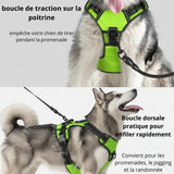 Happy Animalia bright green LED dog harness with adjustable straps and reflective trim for night walks. Features front and back leash clips.