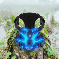 Happy Animalia black mesh dog harness with bright blue LED lights, adjustable straps, and reflective trim for night walks.