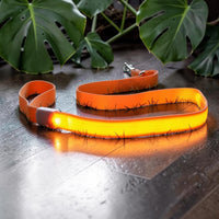 Happy Animalia orange LED dog leash with reflective stitching, rechargeable and visible up to 50m.