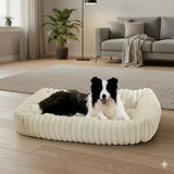 Happy Animalia cream plush orthopedic dog bed with memory foam for senior dogs. Features supportive bolster and washable cover.