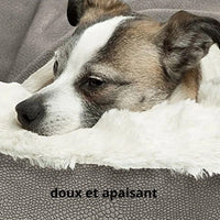 Happy Animalia small dog orthopedic bed with plush white lining and grey textured base, designed for pain relief and comfort.