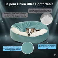 Happy Animalia teal orthopedic dog bed with plush white lining and raised sides for comfort and support. Features memory foam.