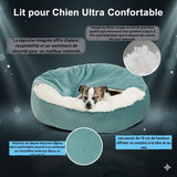 Happy Animalia teal orthopedic dog bed with plush white lining and raised sides for comfort and support. Features memory foam.
