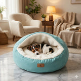 Happy Animalia teal orthopedic dog bed with plush lining and raised edges, perfect for small dogs and cats needing joint support.