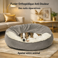 Happy Animalia grey orthopedic dog bed with plush white lining and raised edges, perfect for small dogs and cats seeking pain relief.