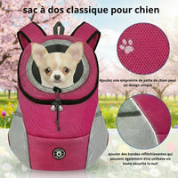Happy Animalia pink mesh dog hiking backpack with chihuahua head peeking out. Features reflective strips.