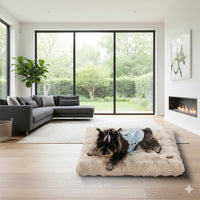 Happy Animalia plush beige dog bed with a small dog wearing a light blue coat resting on it. Orthopedic support.