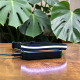 Happy Animalia rechargeable LED dog collar with blue and white stripes, charging via USB.