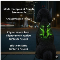Happy Animalia rechargeable LED dog harness in bright green, offering 3 light modes for night walks. Adjustable for all sizes.
