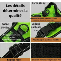 Happy Animalia rechargeable LED dog harness in bright green with black accents, adjustable straps, and reflective stitching for night visibility.