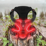 Happy Animalia rechargeable LED dog harness with red light, adjustable, comfortable, and visible at night.