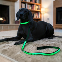 Happy Animalia rechargeable LED dog leash and collar set in bright green, ensuring visibility at night.