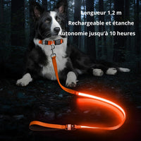 Happy Animalia orange LED rechargeable dog leash, visible up to 50m, 3 light modes, USB charging.