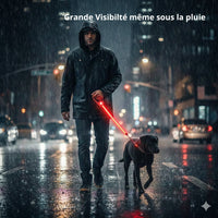 Happy Animalia rechargeable LED dog leash with red light for night visibility, even in rain.