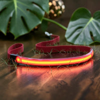 Happy Animalia red LED dog leash with USB charging for night visibility up to 50m.