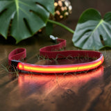 Happy Animalia red LED dog leash with USB charging for night visibility up to 50m.