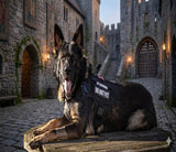 Happy Animalia black tactical dog harness with "IN TRAINING DO NOT PET" patch, adjustable nylon vest for large breeds like Malinois.