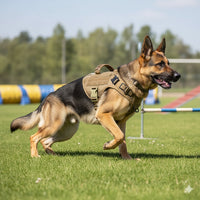Happy Animalia tan tactical dog harness with handle and MOLLE system on German Shepherd