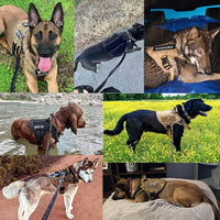 Happy Animalia 5-in-1 tactical dog harness in tan nylon with adjustable straps and MOLLE system for large breeds.