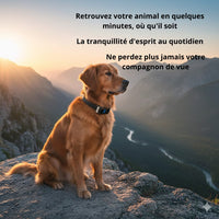 Happy Animalia golden retriever wearing a black GPS tracker with a blue accent, sitting on a rock overlooking a valley at sunset.