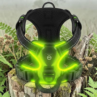 Happy Animalia black dog harness with bright green LED lights, adjustable straps, and reflective accents for night walks.