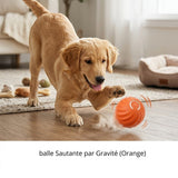 Happy Animalia orange automatic smart ball for dogs, with unpredictable movements for mental stimulation and play.
