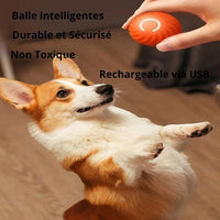 Happy Animalia orange smart dog ball with USB charging, durable, non-toxic, and interactive.