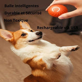 Happy Animalia orange smart dog ball with USB charging, durable, non-toxic, and interactive.