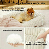 Happy Animalia cream plush dog bed with memory foam for senior dogs, orthopedic support, and washable cover.