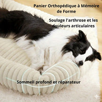 Happy Animalia orthopedic dog bed with memory foam, beige, for senior dogs with joint pain.