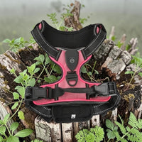 Happy Animalia pink LED dog harness with reflective trim, USB rechargeable for night walks.