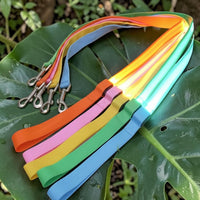 Happy Animalia rechargeable LED dog leash in orange, pink, yellow, green, and blue with metal clasp. Lights up for night visibility.