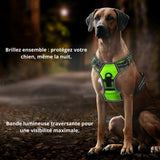 Harnais pour chien Happy Animalia à LED vert vif avec bandes réfléchissantes pour une visibilité et une sécurité nocturnes.